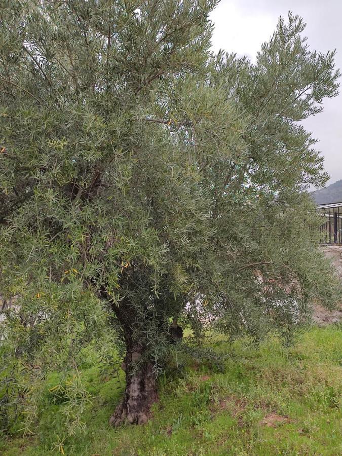 Casa Jabero Villa Nivar ภายนอก รูปภาพ
