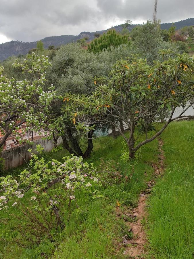 Casa Jabero Villa Nivar ภายนอก รูปภาพ